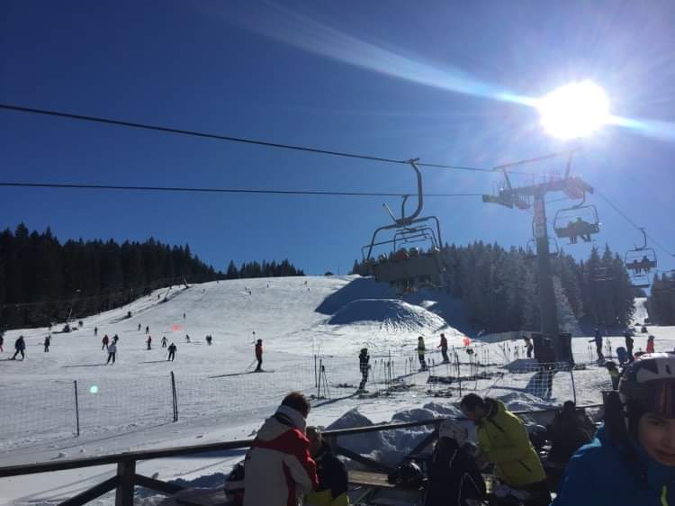 Zimski športni dan na Rogli